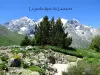 Lautaret Alpine Garden