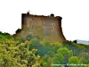 Contrejour sur le château de Murol (© Jean Espirat)