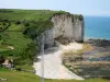 Falaises d'Étretat (© Jean Espirat)