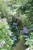 Gärten Renaudies, Park Blumen in Colombiers-du-Plessis