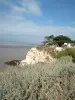 Troglodyte cliffs