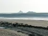 Bay of Mont-Saint-Michel, Broom beach and foreshore