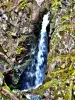 Cascade du Saut de la Truite - Route du ballon d'Alsace (© J.E)