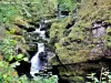 Gorge en amont de la passerelle sur les pertes de l'Ain (© Jean Espirat)