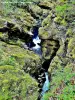 Gorge en amont de la passerelle sur les pertes de l'Ain (© Jean Espirat)