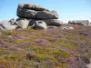 Rocks in the moors of Ploumanac'h