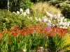 Renaudies gardens, floral park in Colombiers-du Plessis