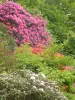 Gardens Renaudies, floral park in Colombiers-du-Plessis