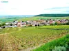 Autre vue sur Cramant (© Jean Espirat)