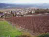 Panorama sur Hautvillers (© Jean Espirat)